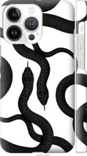 

Чехол Змеи для iPhone 13 Pro 1439032