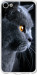 Чехол Красивый кот для Meizu U10