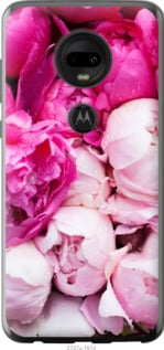 Чехол Розовые пионы для Motorola Moto G7