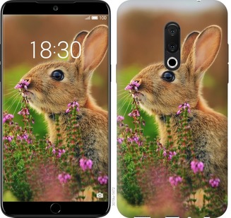 

Чохол Кролик і квіти на Meizu 15 677397