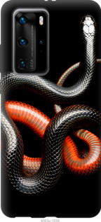 

Чехол Красно-черная змея на черном фоне для Huawei P40 Pro 938651