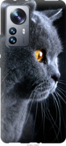 Чехол Красивый кот для Xiaomi 12 Pro