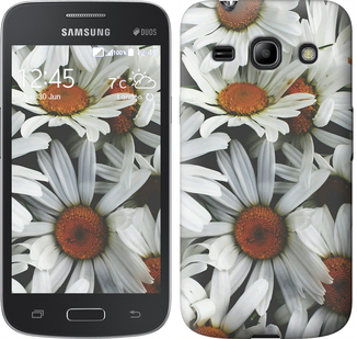 

Чехол Ромашки v2 для Samsung Galaxy Star Advance G350E 127138