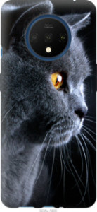 Чехол Красивый кот для OnePlus 7T