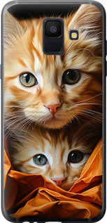Чехол Котики 2 для Samsung Galaxy A6 2018