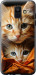 Чехол Котики 2 для Samsung Galaxy A6 2018