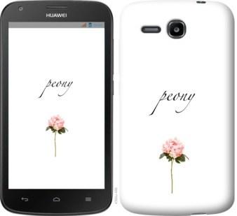 

Чехол Пион для Huawei Ascend Y600 754717