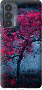 

Чехол Дерево с яркими листьями для Motorola Edge 20 1230975