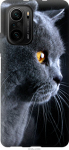 Чехол Красивый кот для Xiaomi Poco F3