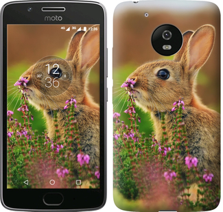 

Чехол Кролик и цветы для Motorola Moto G5 656676