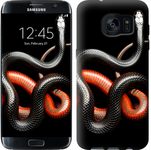 

Чехол Красно-черная змея на черном фоне для Samsung Galaxy S7 Edge G935F 481943