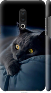 Чехол Дымчатый кот для Meizu 15 Plus
