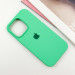 Фото Чохол Silicone Case Full Protective (AA) на Apple iPhone 15 Pro Max (6.7") (Зелений / Spearmint) на vchehle.ua