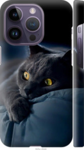Чехол Дымчатый кот для iPhone 14 Pro
