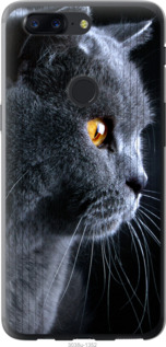 

Чохол Гарний кіт на OnePlus 5T 626704