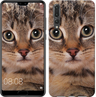 

Чехол Полосатый котик для Huawei P20 Pro 655448
