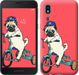 

Чохол Мопс на велосипеді на Samsung Galaxy A2 Core A260F 763643