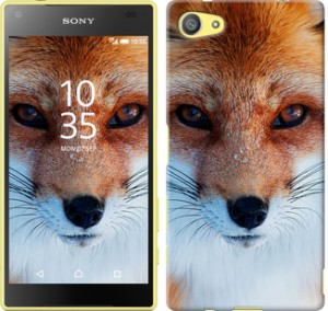 Чехол Рыжая лисица для Sony Xperia Z5 Compact E5823