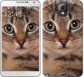 

Чохол Смугастий котик на Samsung Galaxy Note 3 N9000 175544
