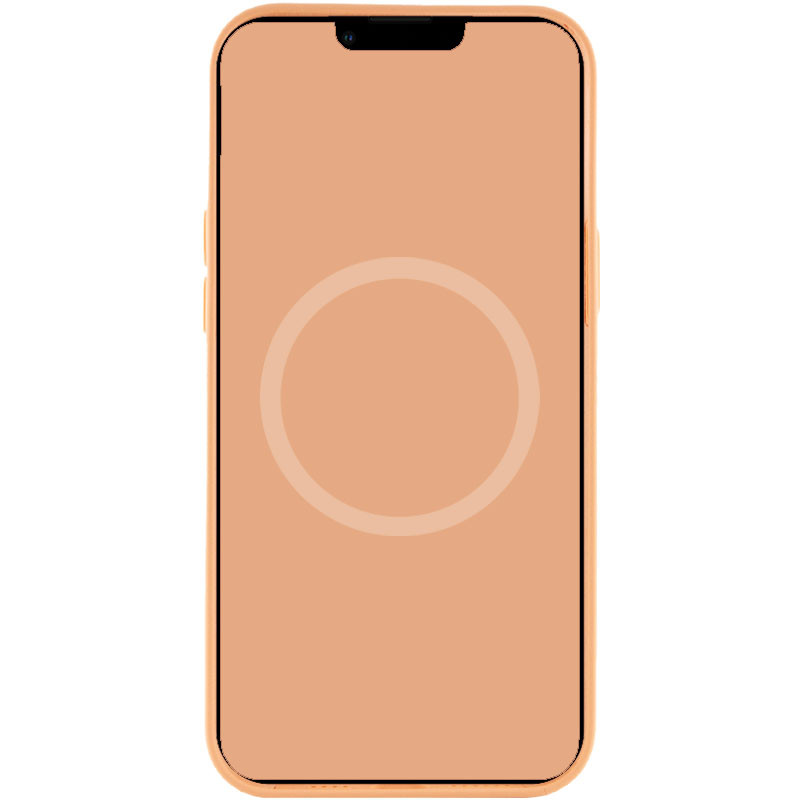 Уценка Чехол Silicone case (AAA) full with Magsafe and Animation для Apple iPhone 12 Pro Max (6.7") (Дефект упаковки / Помаранчевий / Cantaloupe) в магазині vchehle.ua