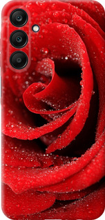 Чехол Красная роза для Samsung Galaxy A25 5G
