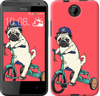 

Чехол Мопс на велосипеде для HTC Desire 300 87614