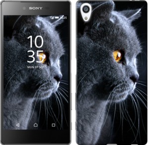 Чехол Красивый кот для Sony Xperia Z5 Premium E6883