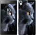 Чехол Красивый кот для Sony Xperia Z5 Premium E6883