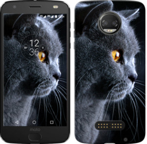 Чехол Красивый кот для Motorola Moto Z3 Play