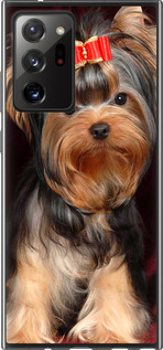 

Чехол Йоркширский терьер для Samsung Galaxy Note 20 Ultra 1634804