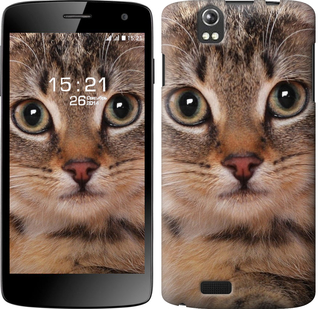 

Чехол Полосатый котик для Fly IQ4503 175879