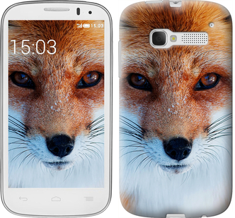 

Чехол Рыжая лисица для Alcatel One Touch Pop C5 5036D 577873