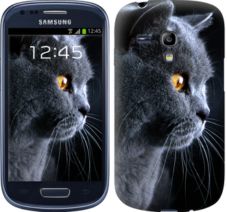 

Чехол Красивый кот для Samsung Galaxy S3 mini 116877