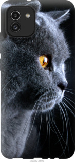 Чехол Красивый кот для Samsung Galaxy A03 A035F