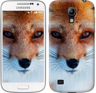 

Чехол Рыжая лисица для Samsung Galaxy S4 mini 78519