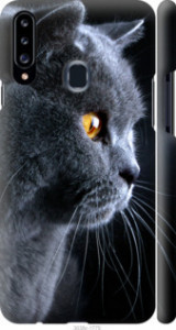 Чехол Красивый кот для Samsung Galaxy A20s A207F