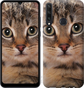 

Чехол Полосатый котик для Huawei Y6p 936419