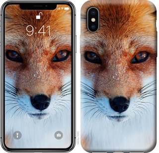 

Чехол Рыжая лисица для iPhone XS Max 672457