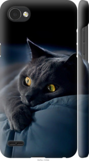 Чехол Дымчатый кот для LG Q6