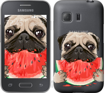 

Чехол Мопс и арбуз для Samsung Galaxy Young 2 G130h 843509