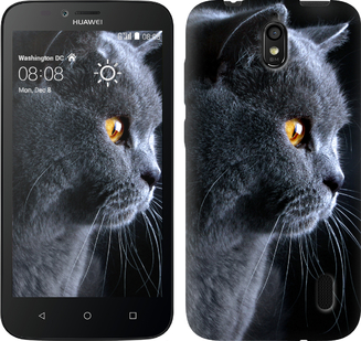 

Чохол Гарний кіт на Huawei Ascend Y625 117151