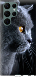 Чехол Красивый кот для Samsung Galaxy S22 Ultra