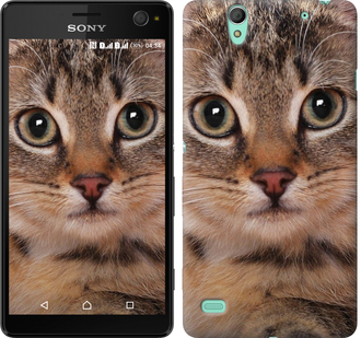 

Чохол Смугастий котик на Sony Xperia C4 E5333 175708