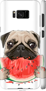 

Чехол Мопс и арбуз для Samsung Galaxy S8 843395