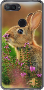 Чехол Кролик и цветы для Xiaomi Mi 8 Lite
