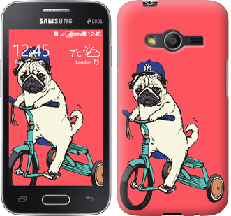 

Чехол Мопс на велосипеде для Samsung Galaxy Ace 4 G313 87591
