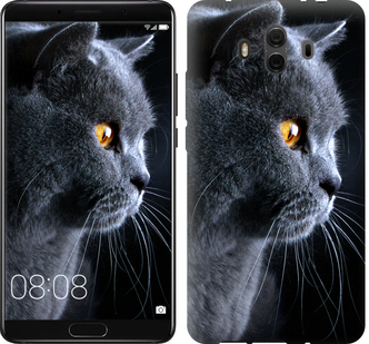 

Чехол Красивый кот для Huawei Mate 10 626688