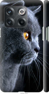 Чехол Красивый кот для OnePlus 10T