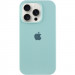 Чехол Silicone Case Full Protective (AA) для Apple iPhone 13 Pro (6.1") (Бирюзовый / Beryl)