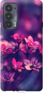 Чохол Пурпурні квіти на Motorola Edge 20